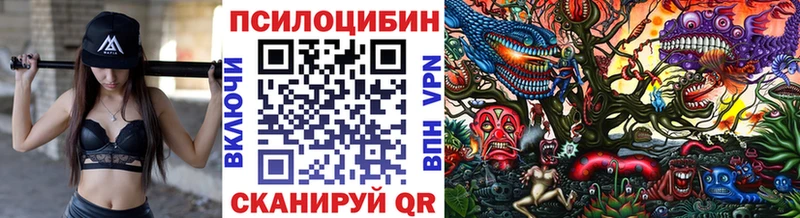 Купить  Петровск  Псилоцибиновые грибы Psilocybine cubensis 