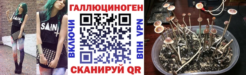 Галлюциногенные грибы мухоморы Петровск