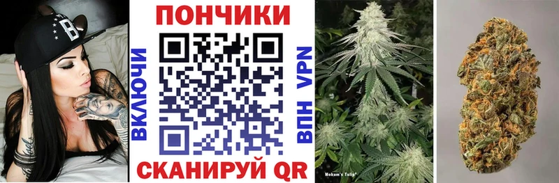 МАРИХУАНА планчик  Купить  Петровск 